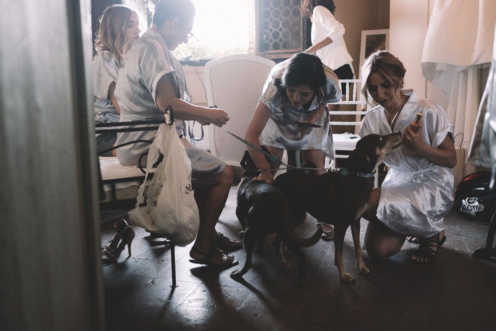 Royal Air Maroc Sucks - 2 - 164