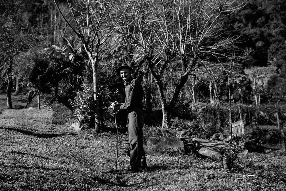 Polenta Gourmet - 2 - 42