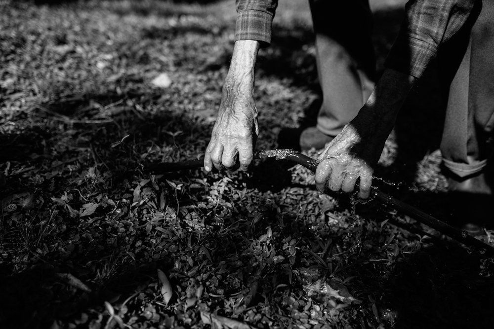 Polenta Gourmet - 2 - 20