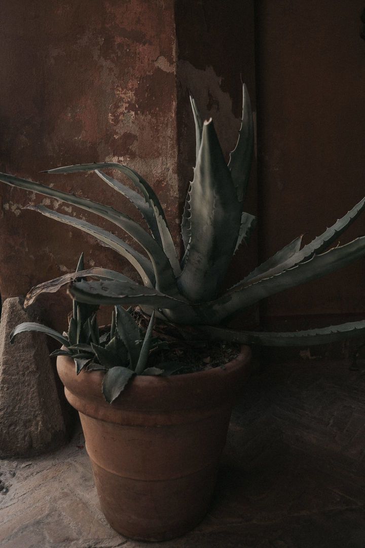 Royal Air Maroc Sucks - 2 - 84