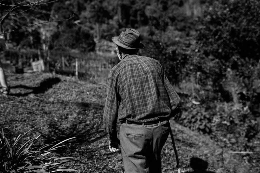 Polenta Gourmet - 2 - 47