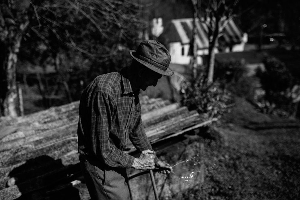 Polenta Gourmet - 2 - 49