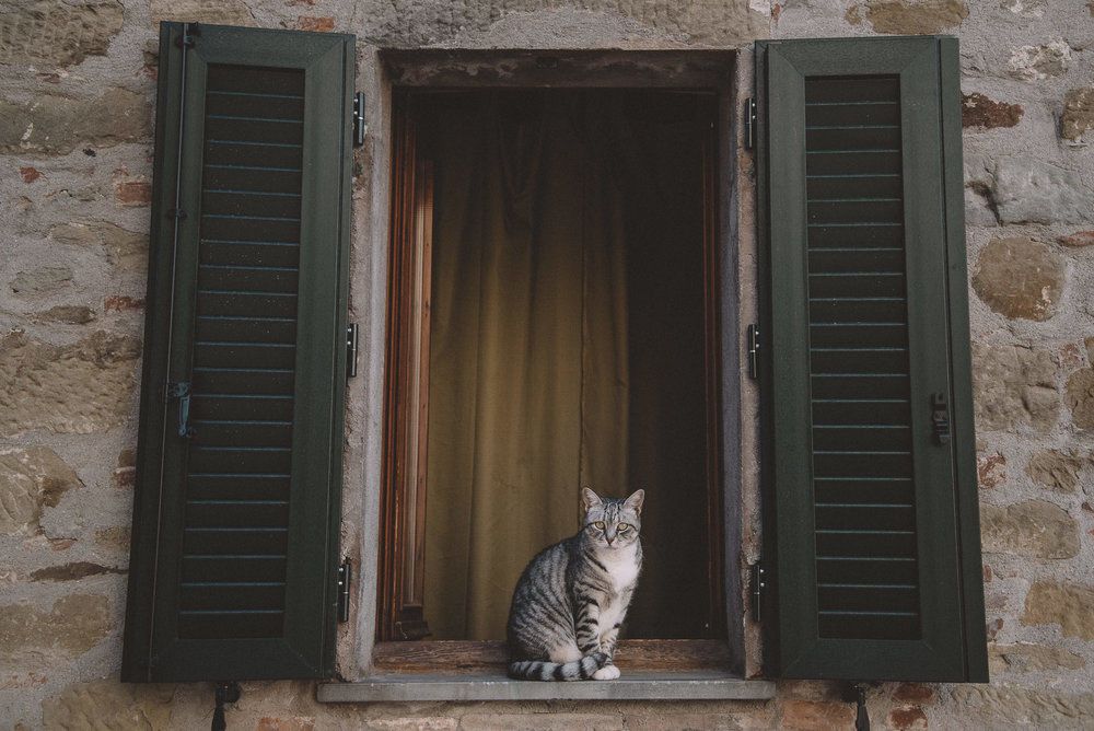 Karen + Tom - 2 - 289