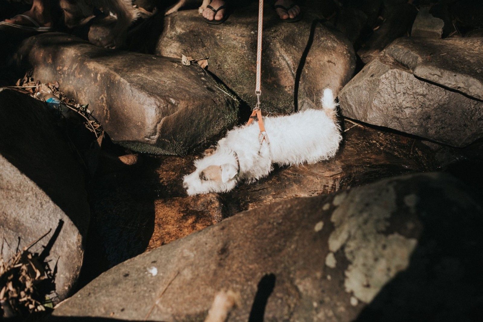 Casamento na montanha - 2 - 98