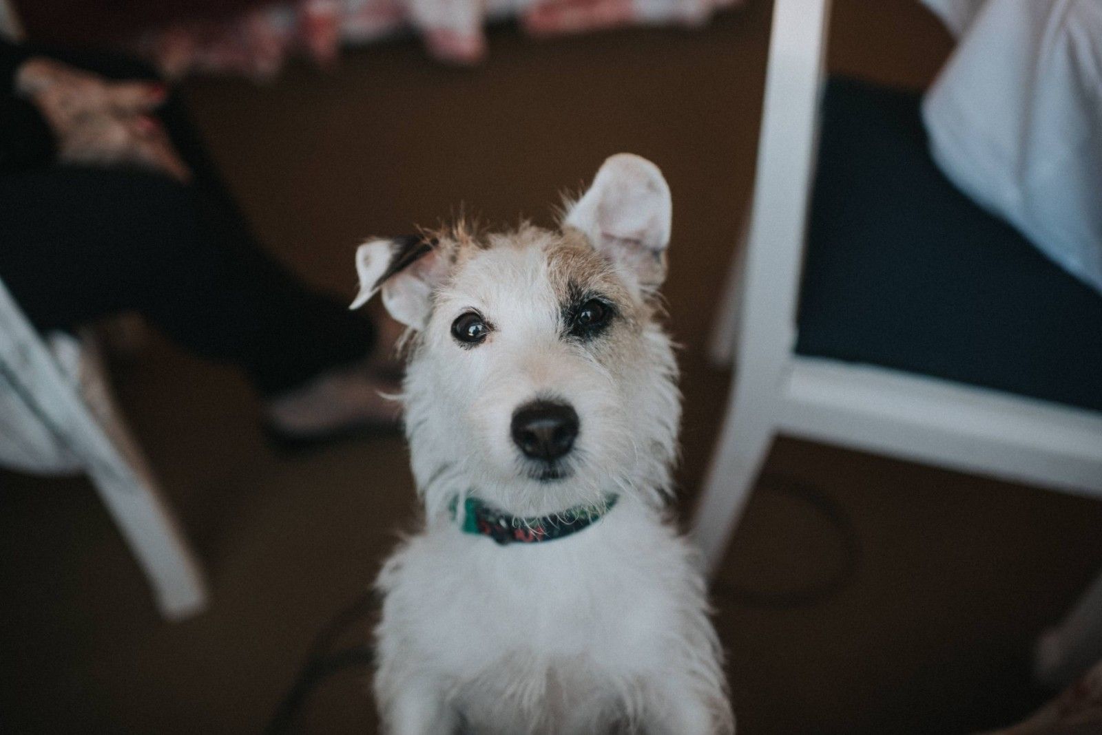 Casamento na montanha - 2 - 92