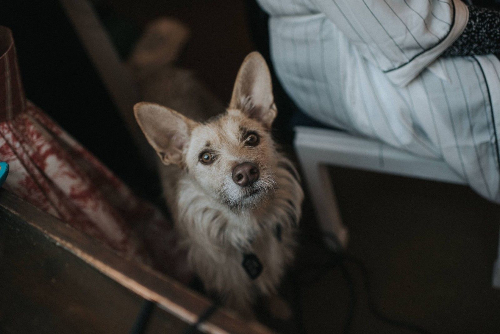 Casamento na montanha - 2 - 93