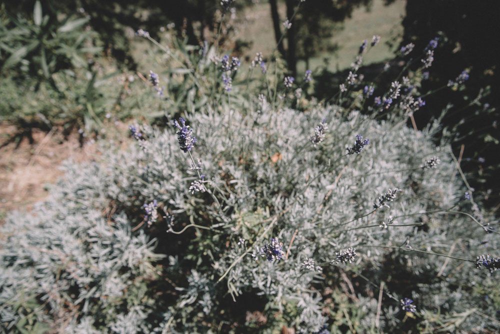 Karen + Tom - 2 - 306