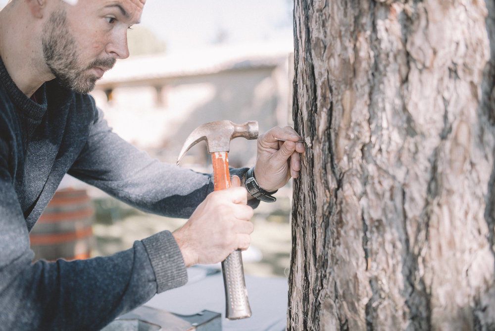 Karen + Tom - 2 - 315