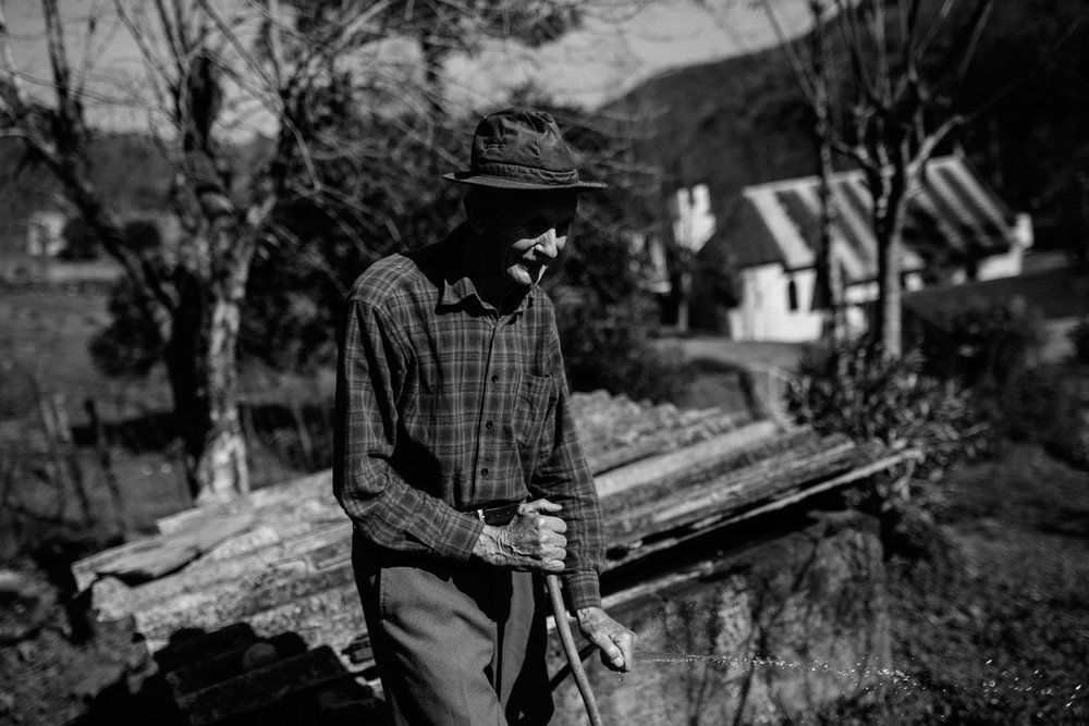 Polenta Gourmet - 2 - 64