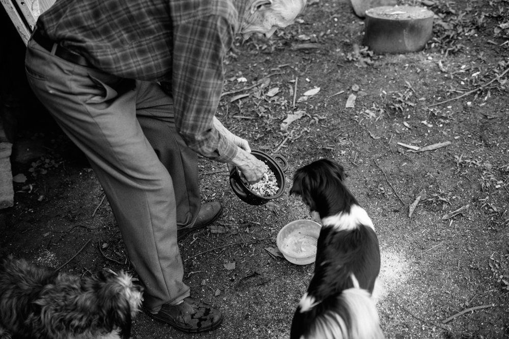 Polenta Gourmet - 2 - 70