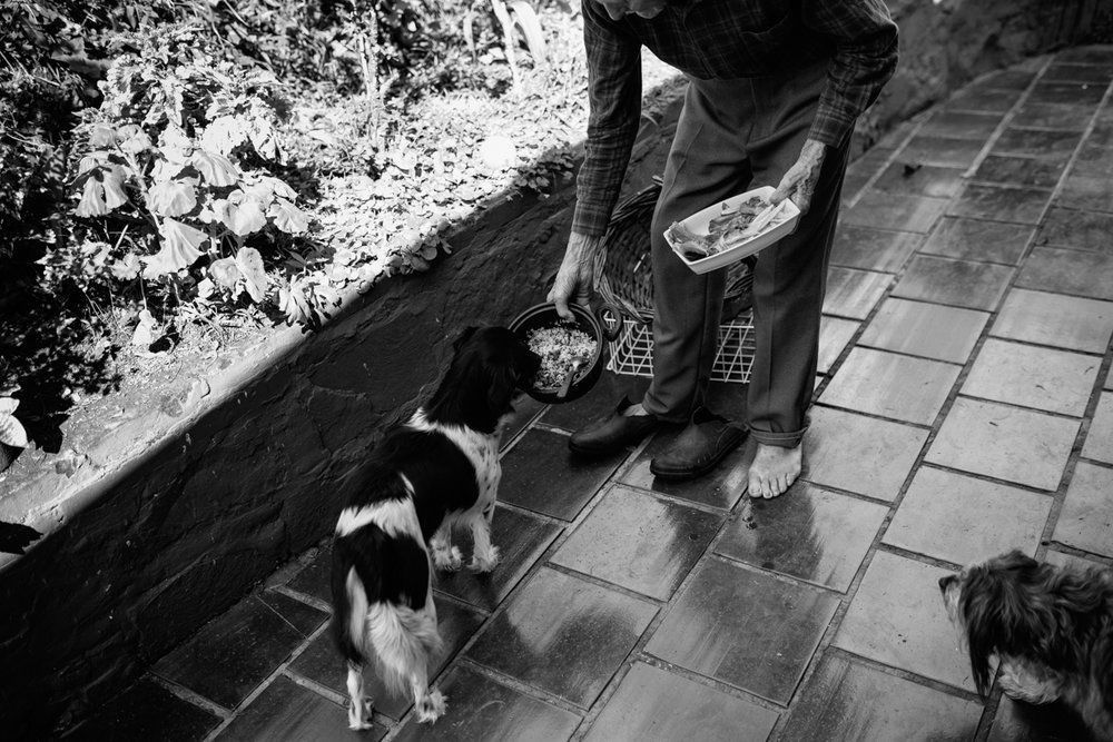 Polenta Gourmet - 2 - 71