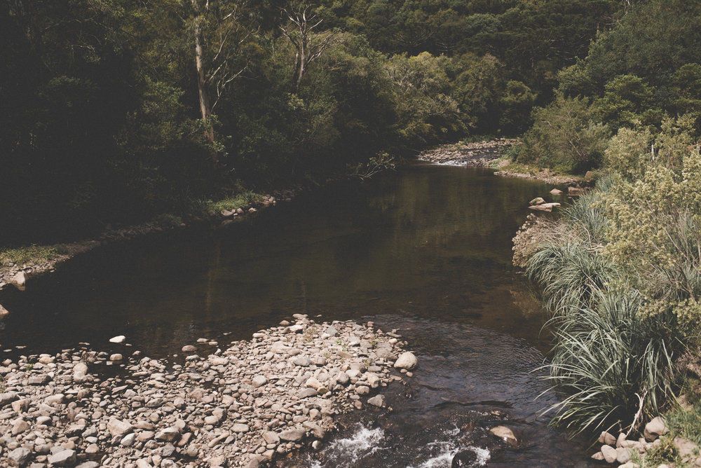 Renovar é preciso - 8 - 0