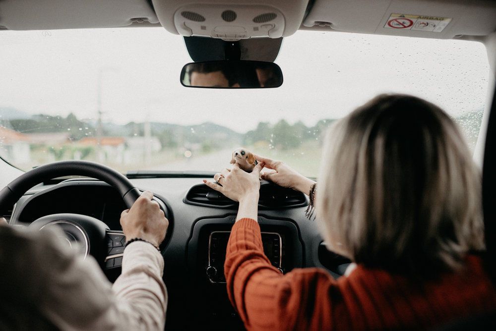 Renovar é preciso - 8 - 15