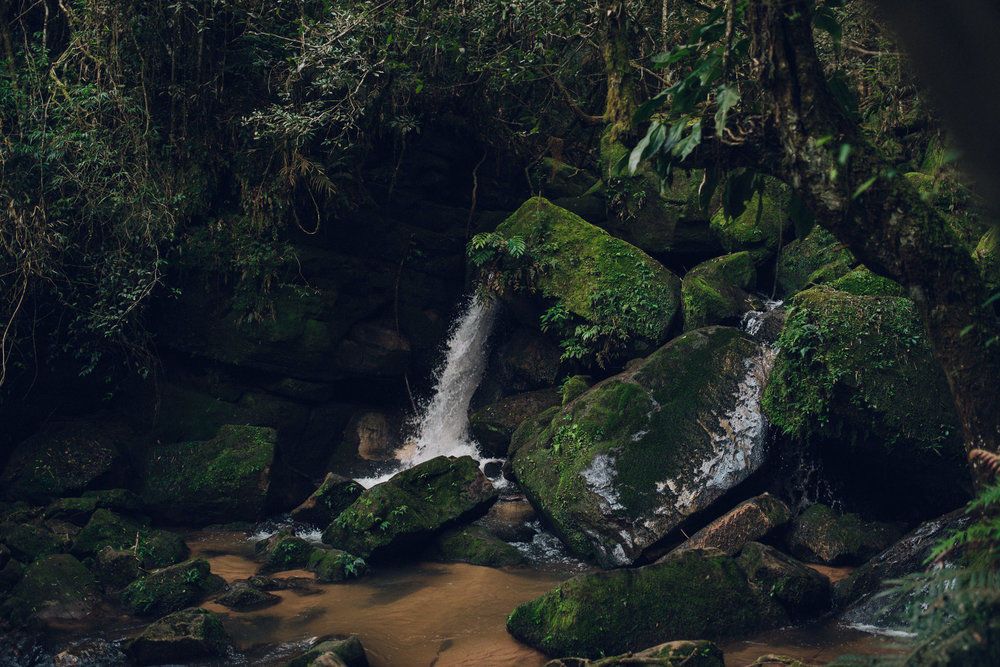 Into The Unknown - 2 - 6