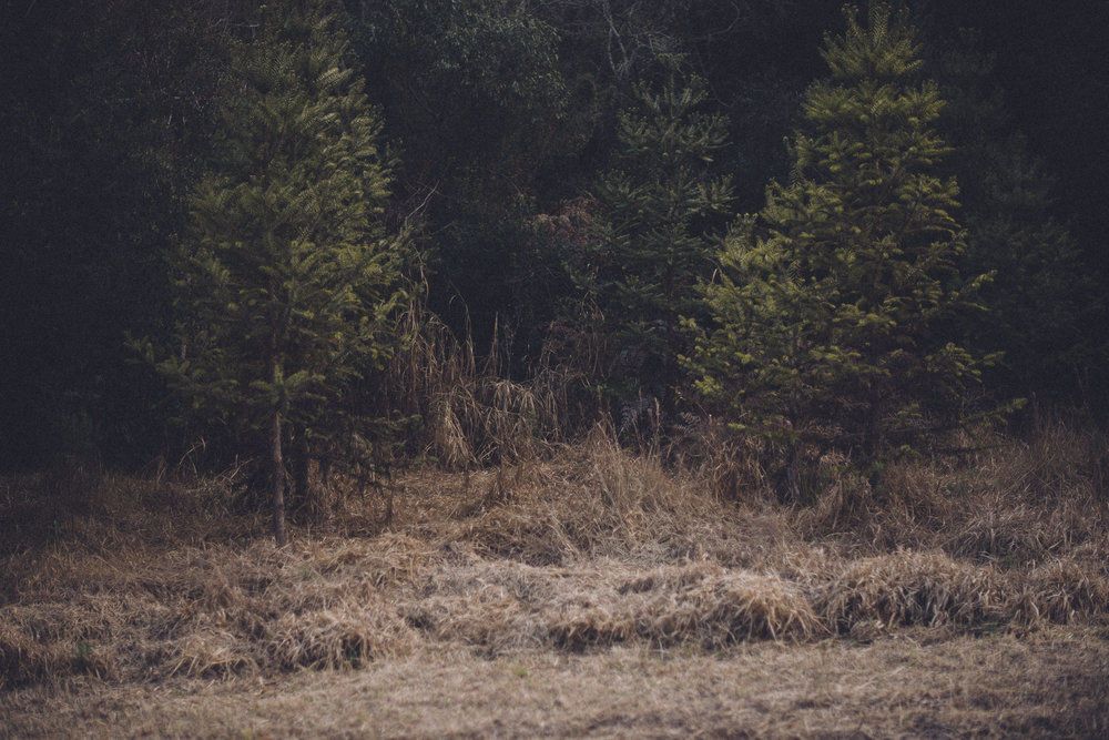 Into The Unknown - 2 - 28