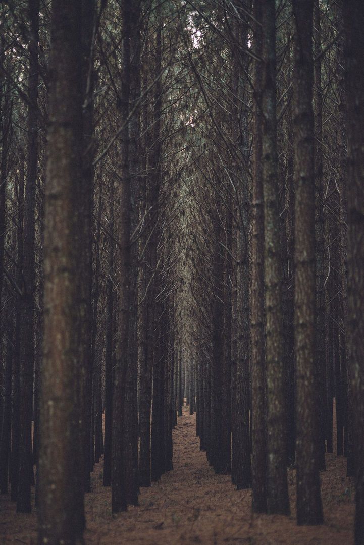 Into The Unknown - 2 - 12