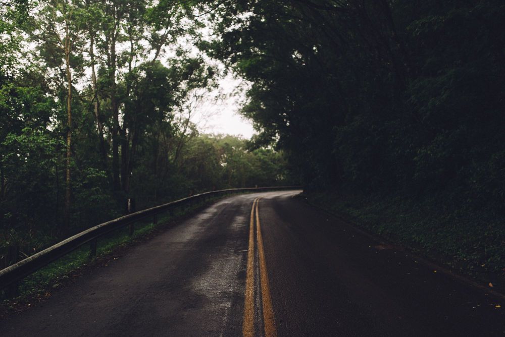 The Rider Project - 2 - 26