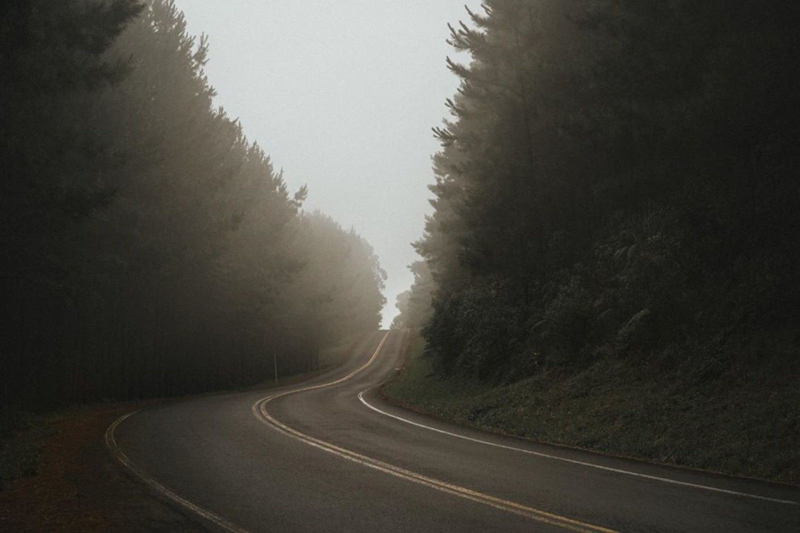 Fotógrafo em Urubici - 28 - 37