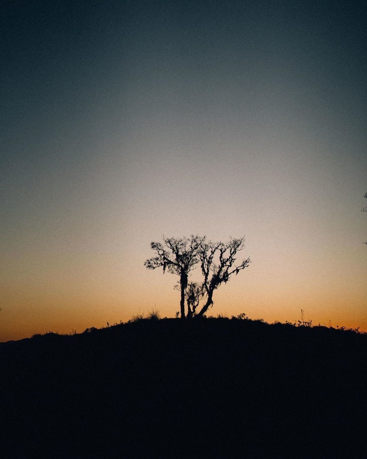 Fotógrafo em Urubici - 28 - 9