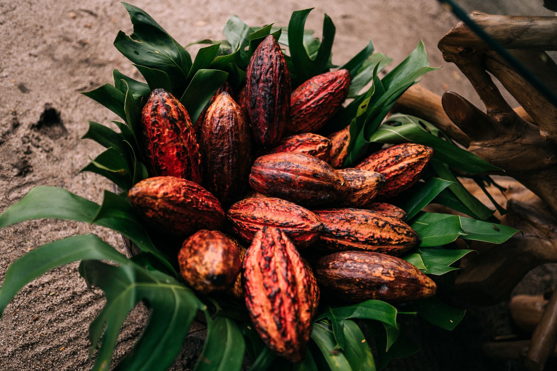 Casamento em Trancoso - 2 - 17