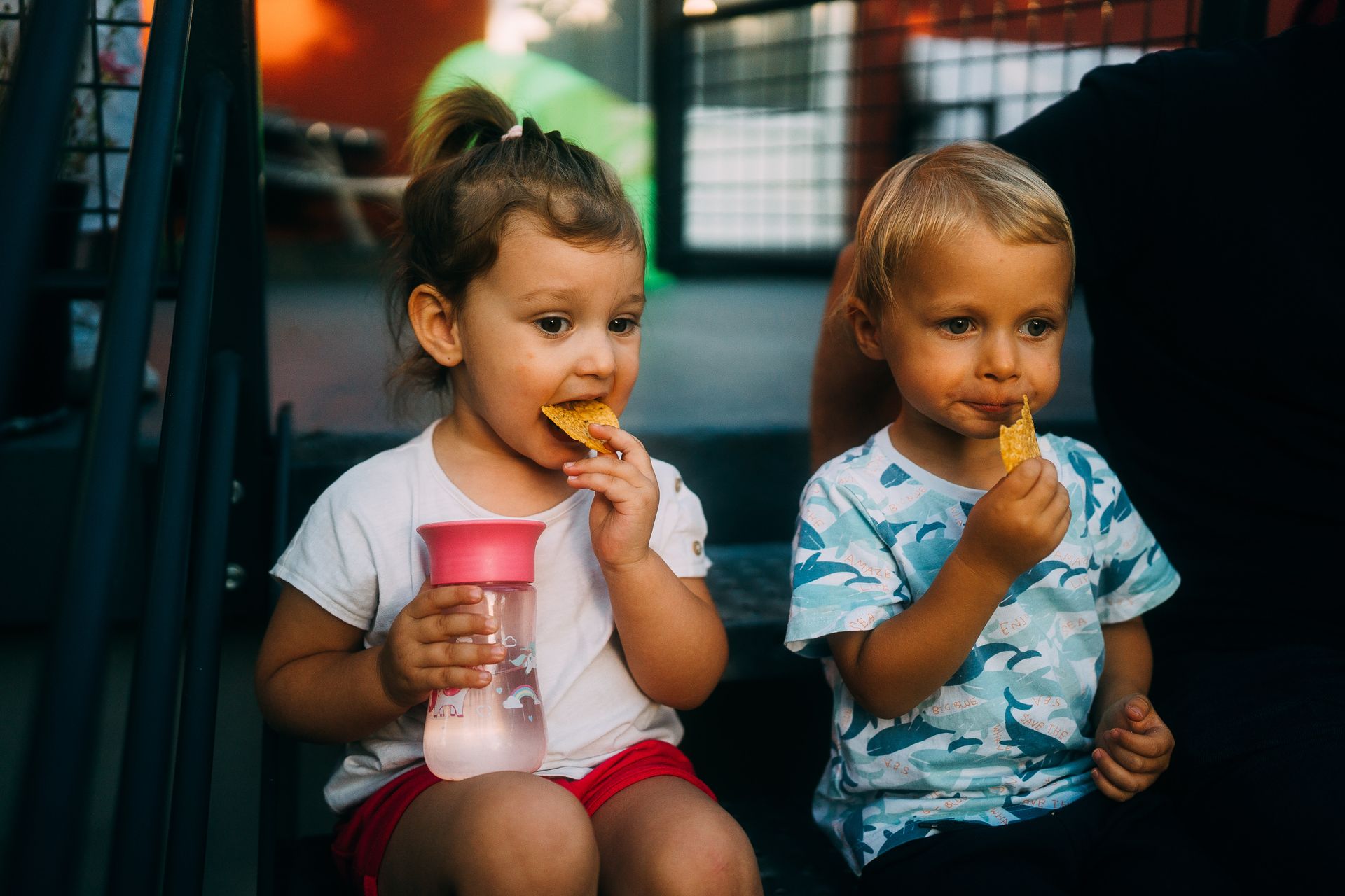 Capturando Memórias de Família de Forma Autêntica em Florianópolis - 2 - 117