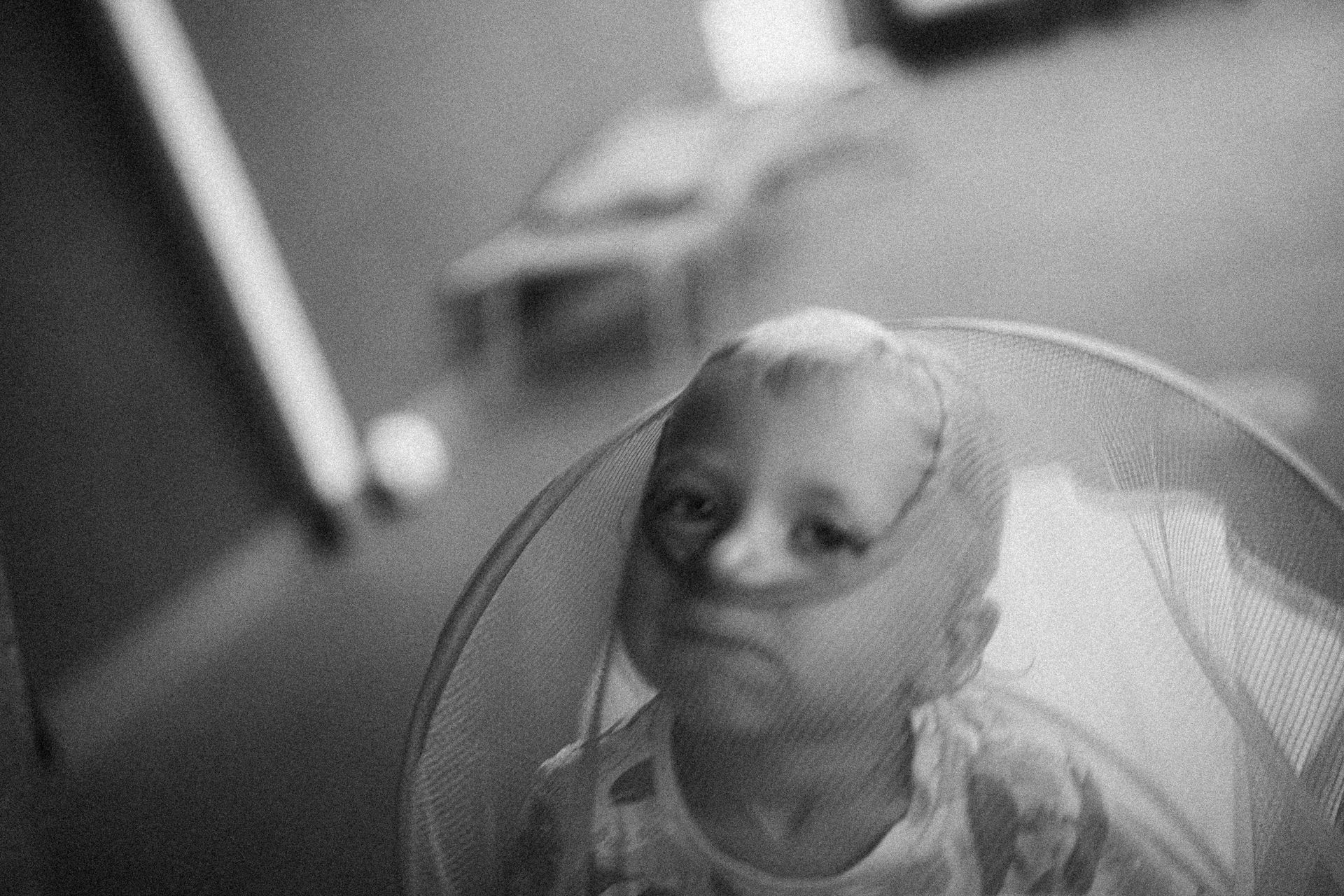 Capturando Memórias de Família de Forma Autêntica em Florianópolis - 2 - 133