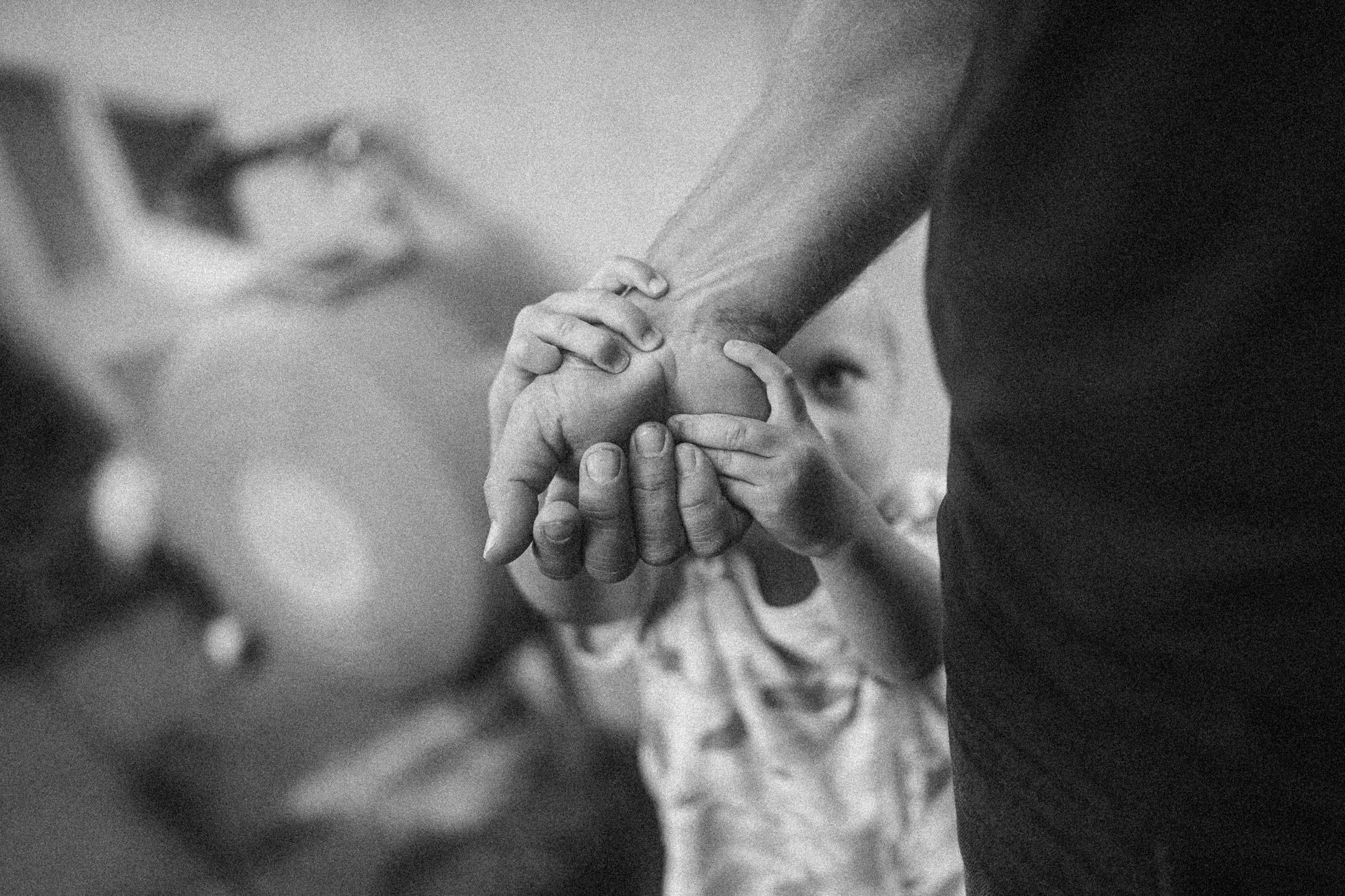 Capturando Memórias de Família de Forma Autêntica em Florianópolis - 2 - 19