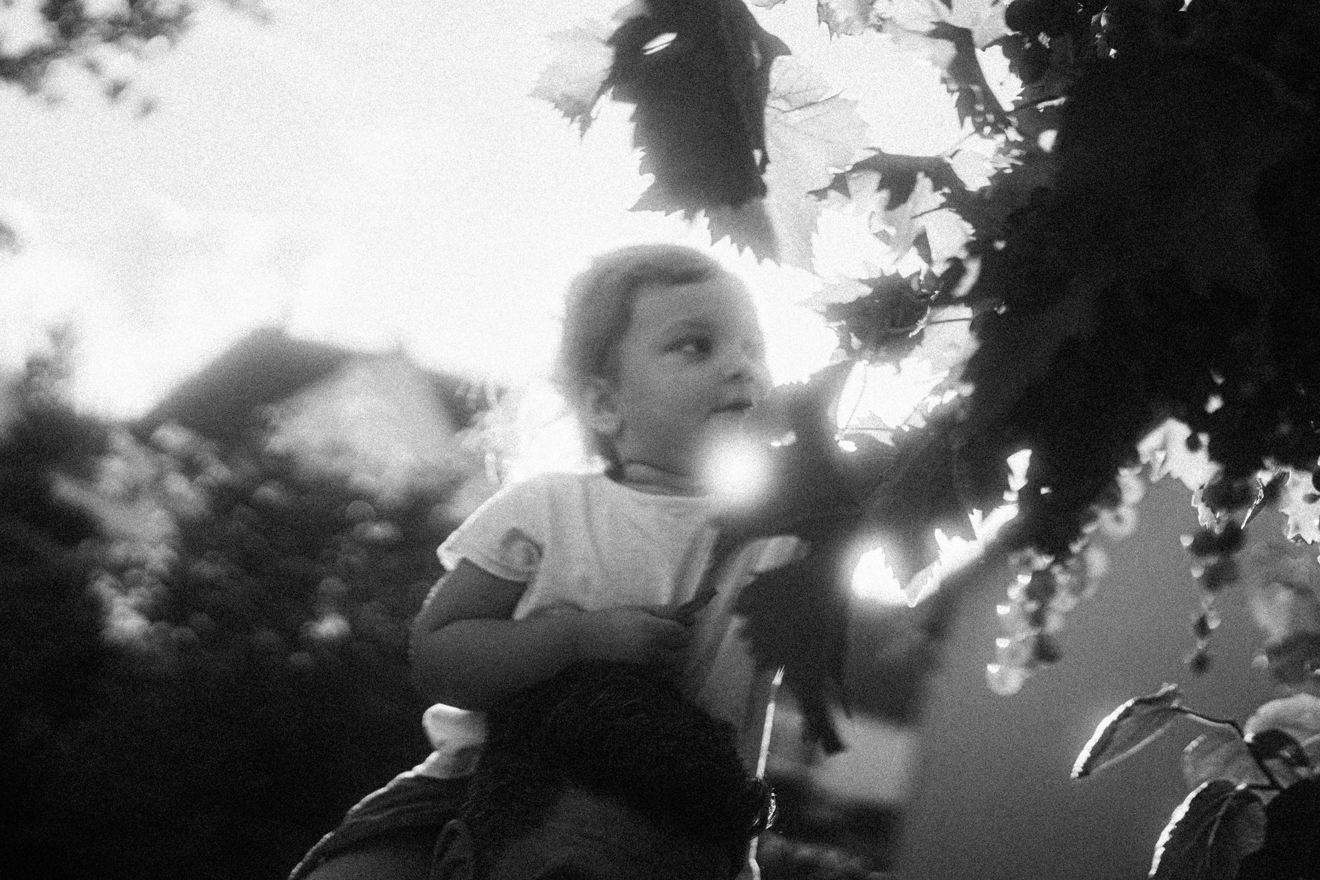 Capturando Memórias de Família de Forma Autêntica em Florianópolis - 2 - 51