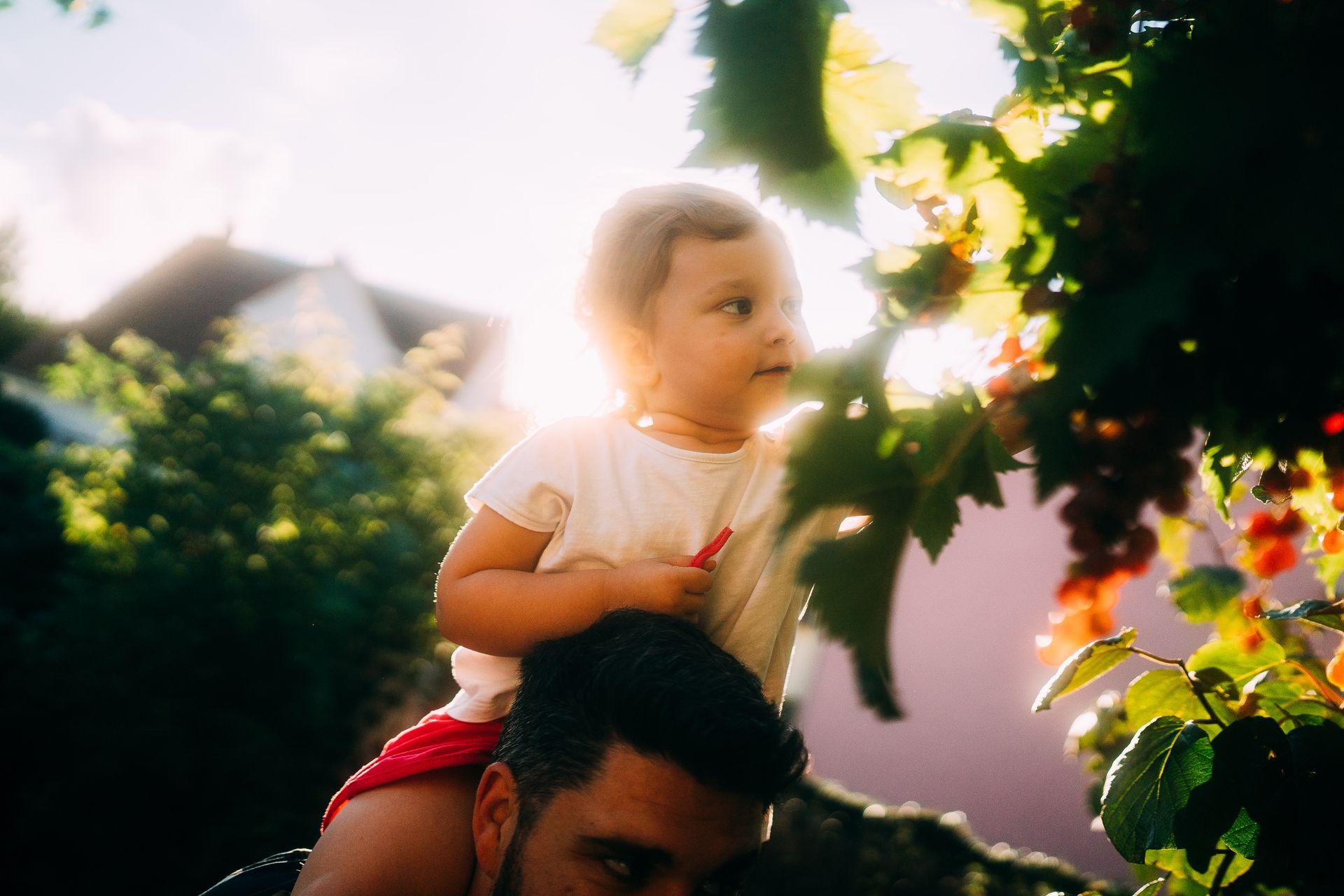 Capturando Memórias de Família de Forma Autêntica em Florianópolis - 2 - 52
