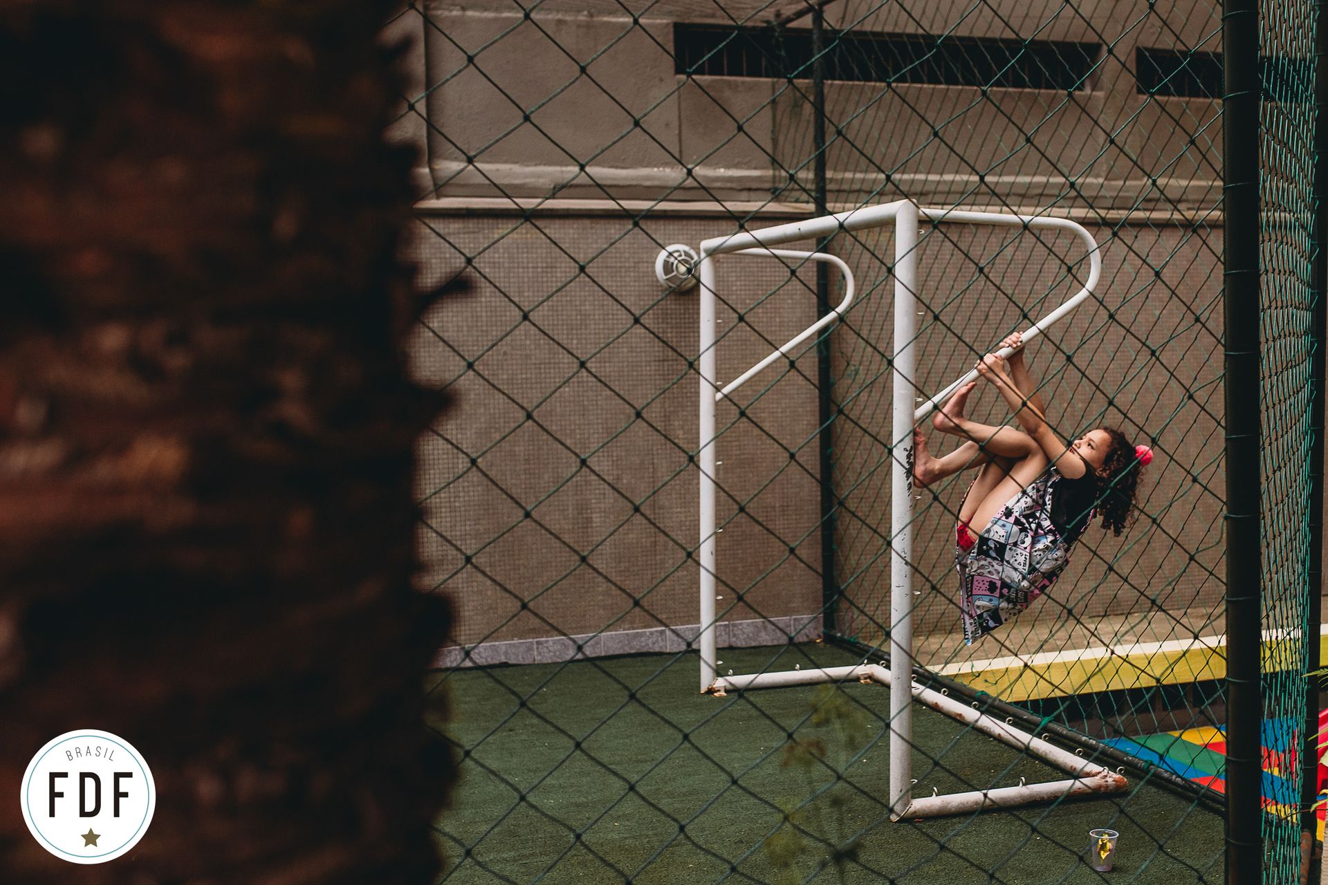 FDF Brasil - 2 - 10