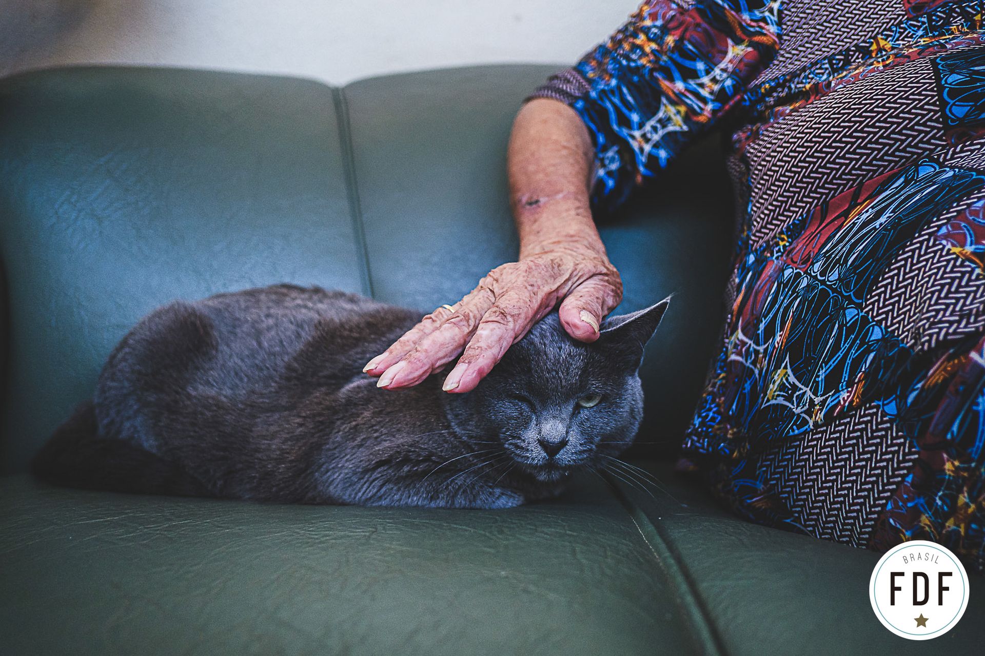 Quarto concurso - Pets - 3 - 2