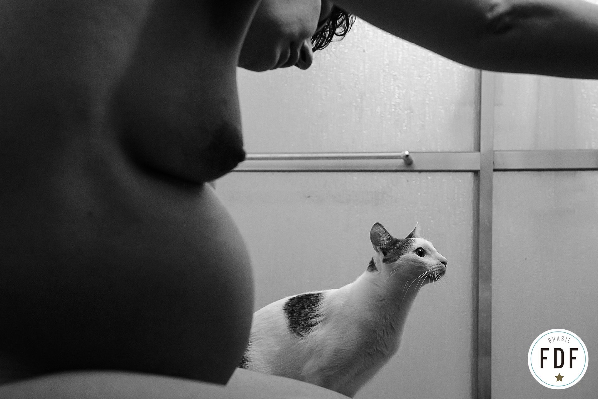 Sexto concurso FDF - 6 - 14