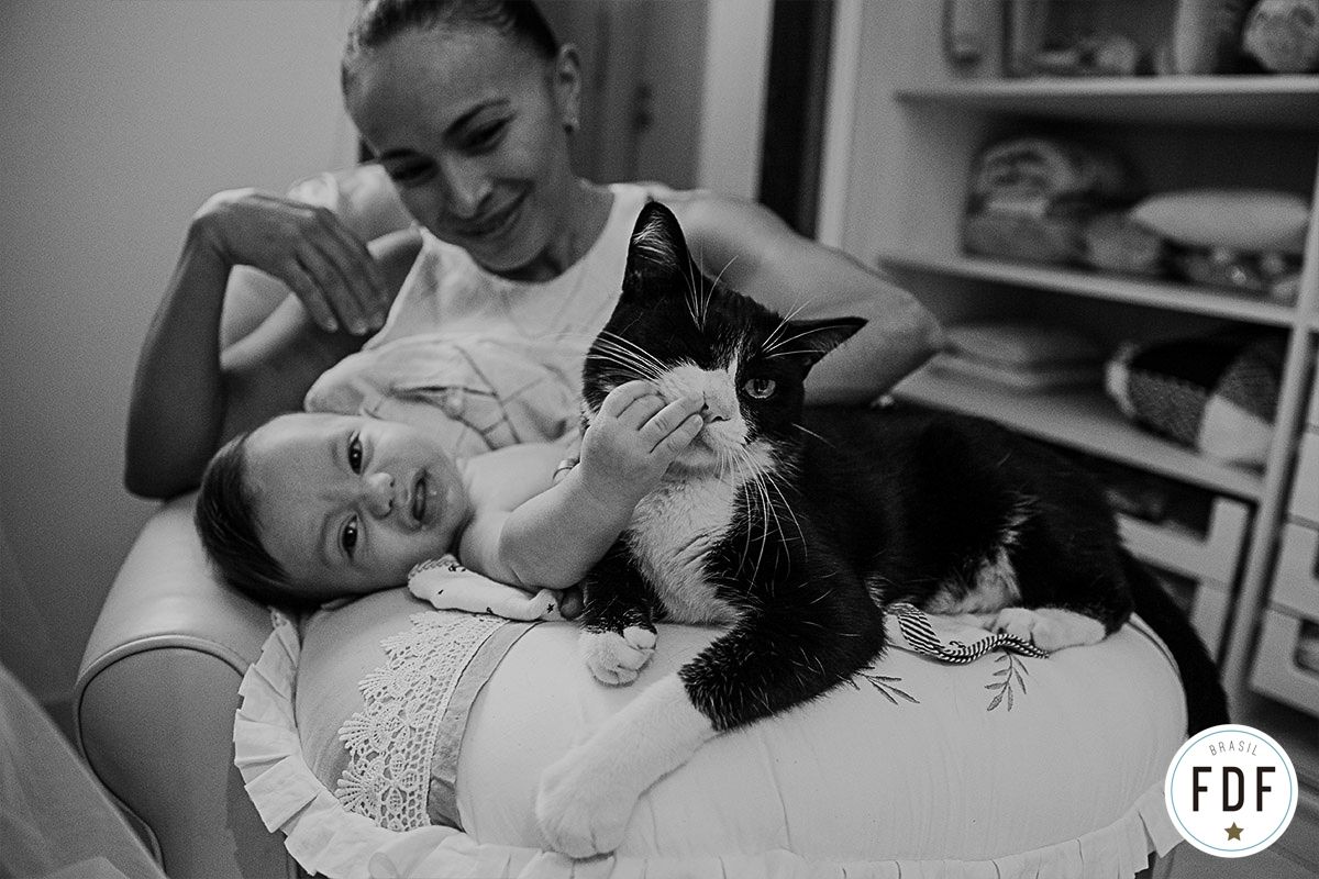 Sexto concurso FDF - 6 - 20