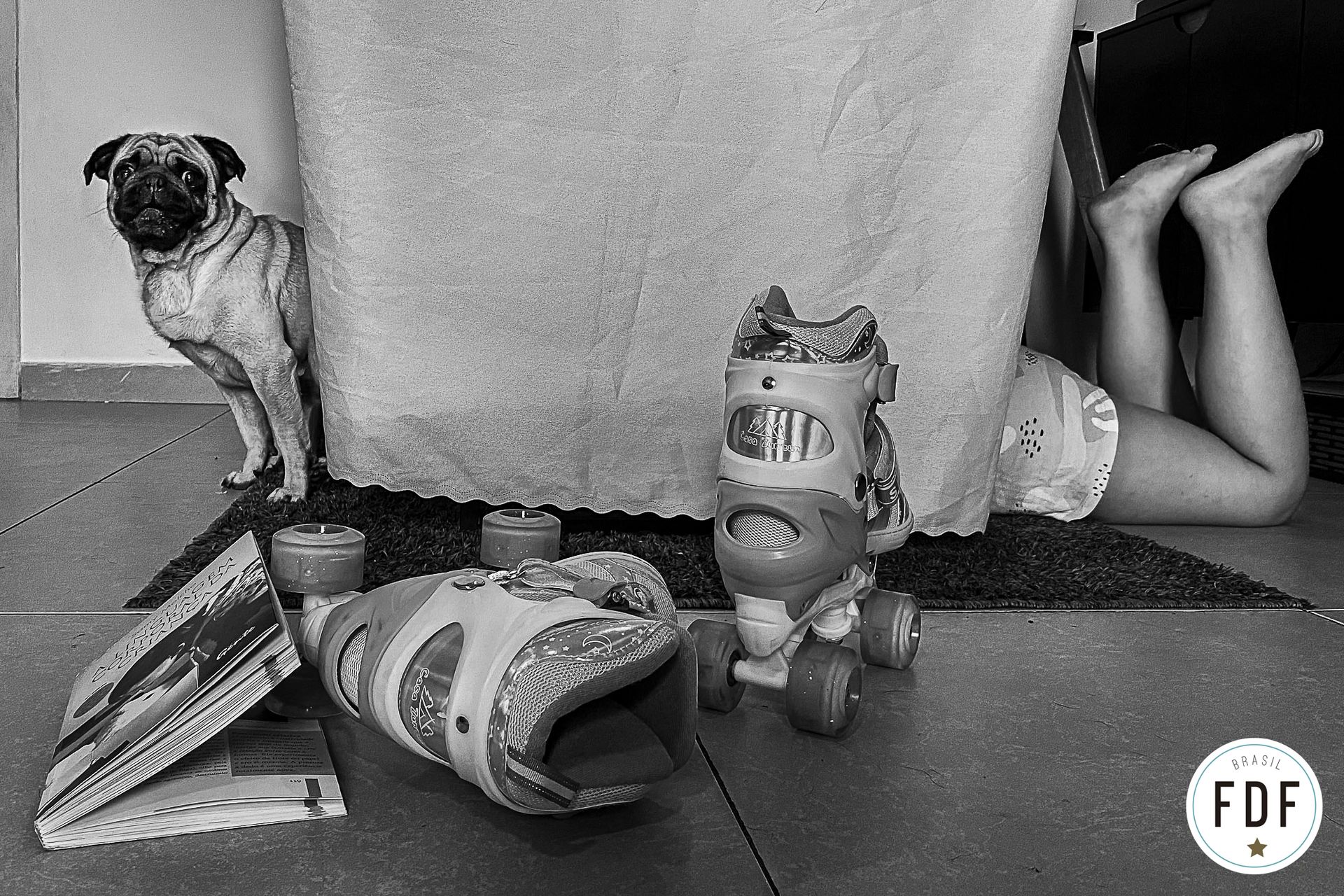 11º concurso FDF - 6 - 0