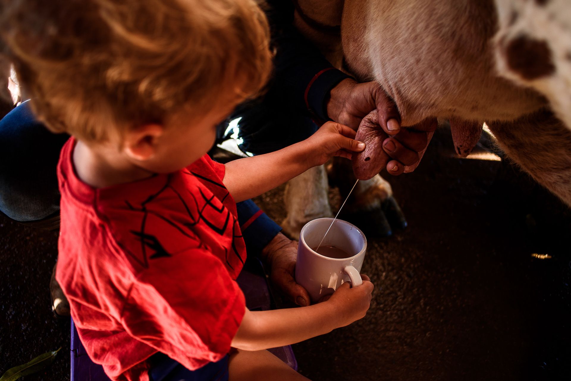 11º concurso FDF - 10 - 0