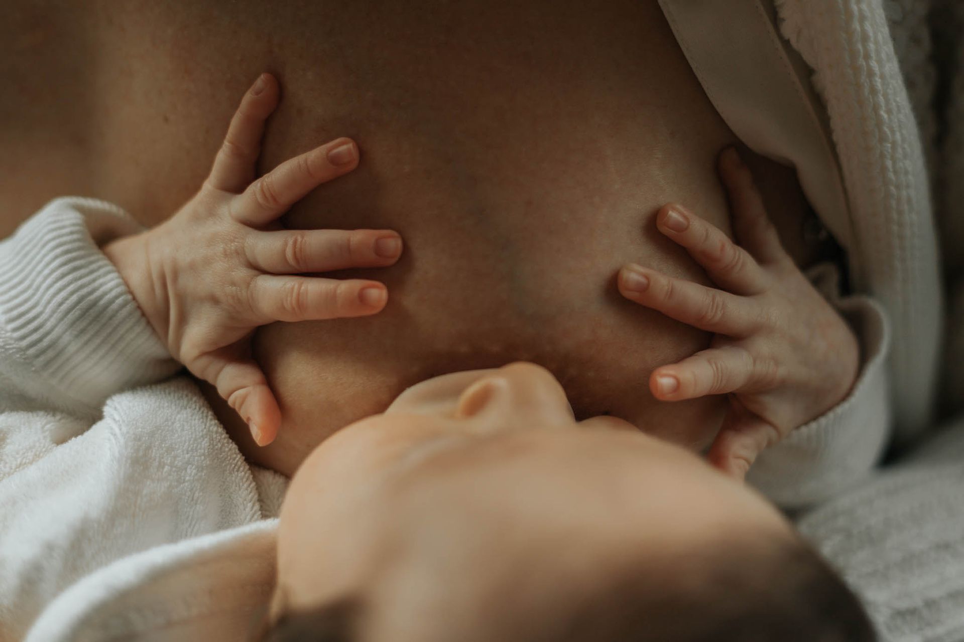 11º concurso FDF - 10 - 0