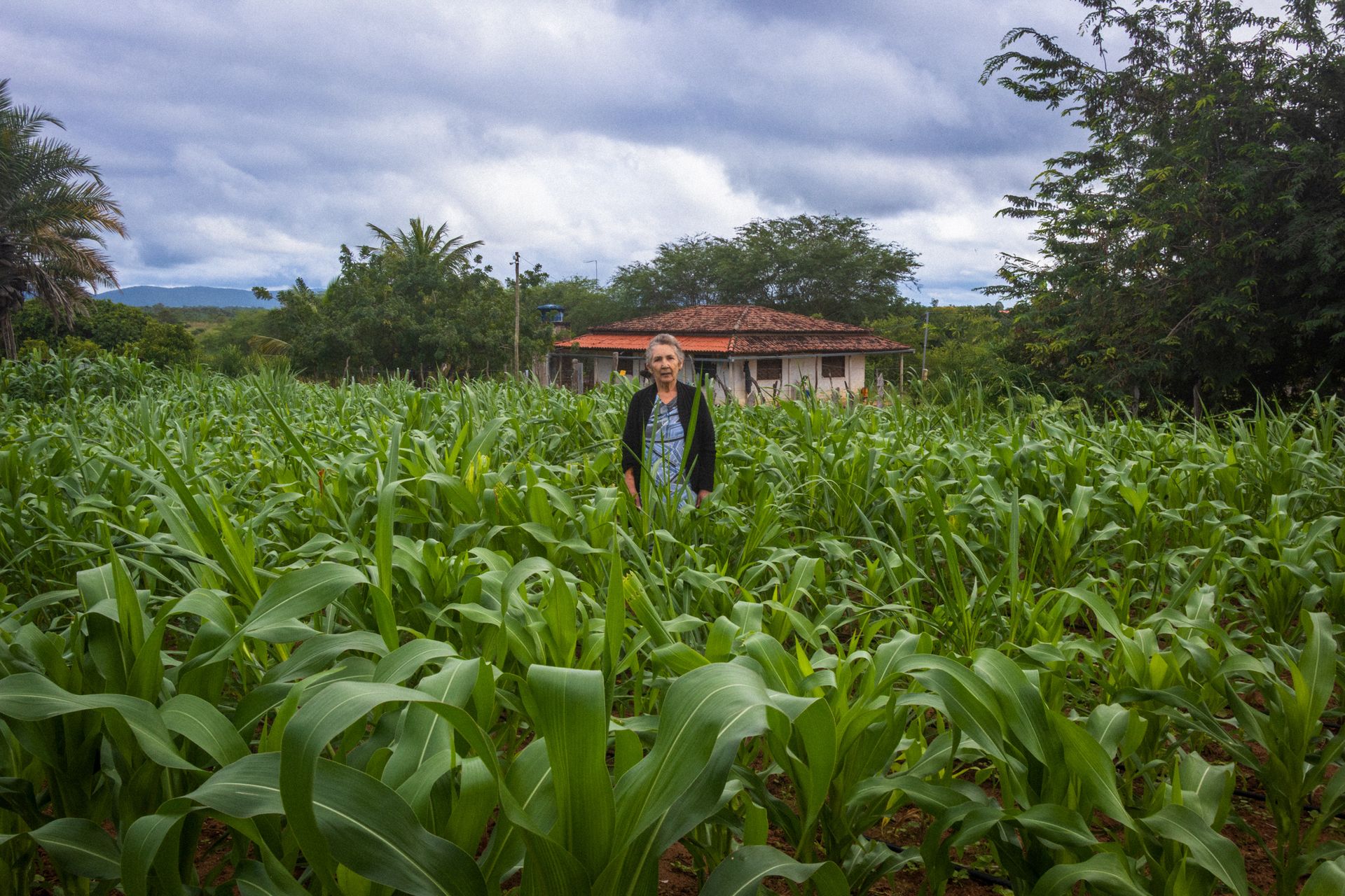 11º concurso FDF - 10 - 0