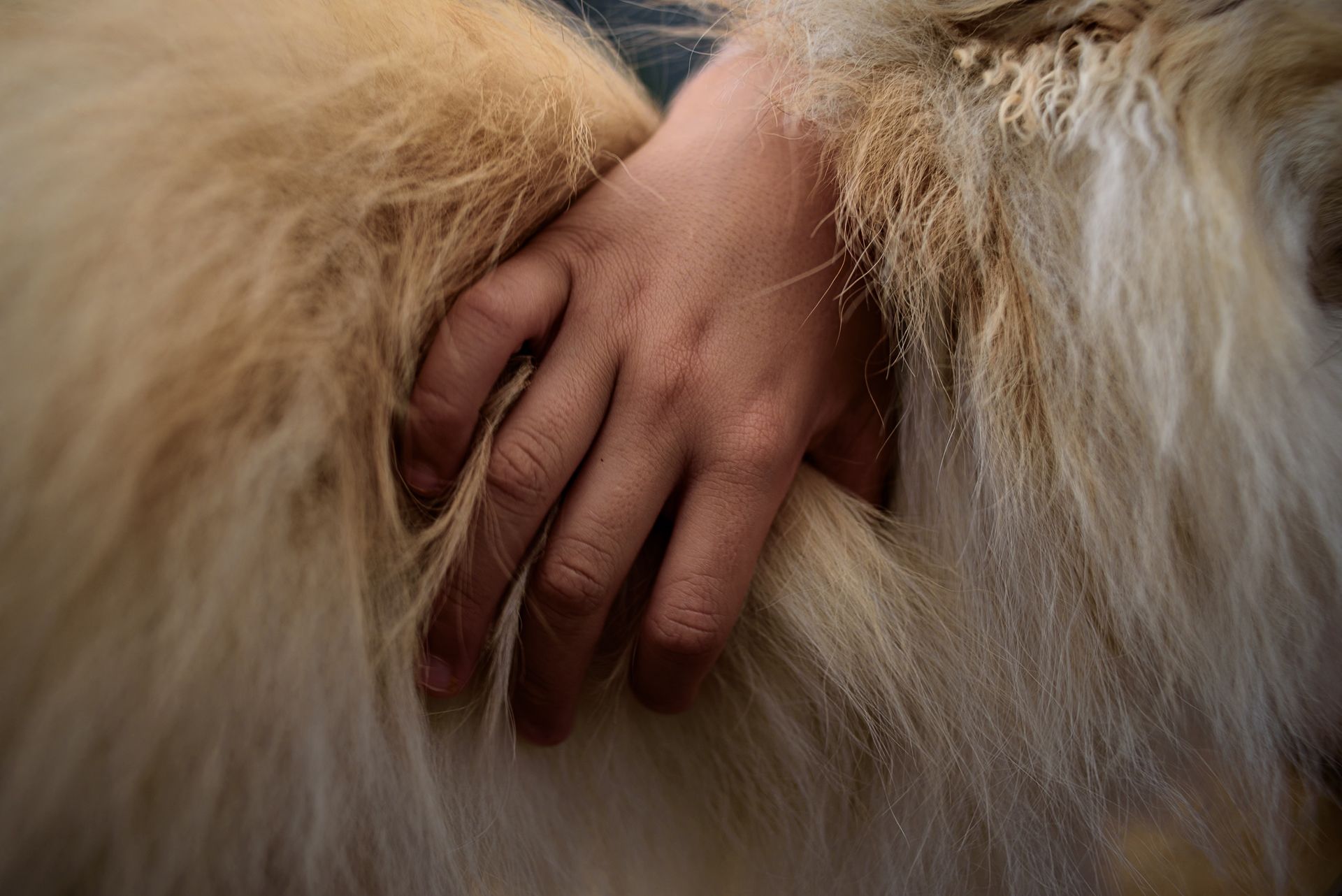 13º concurso FDF - 8 - 0