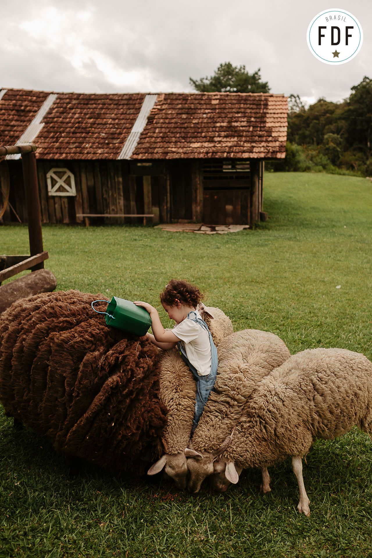 13º concurso FDF - 6 - 1