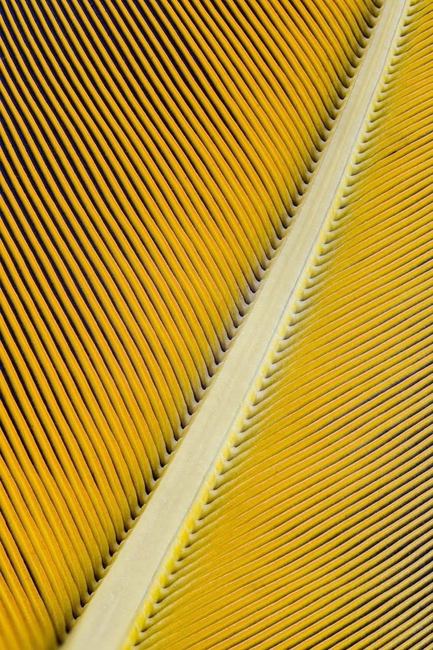 Coleção Palette - parceria com @ruyfotografo - 1 - 3