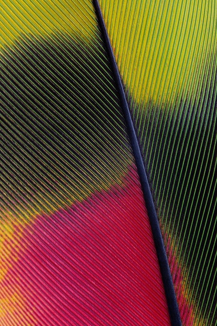 Coleção Palette - parceria com @ruyfotografo - 1 - 5