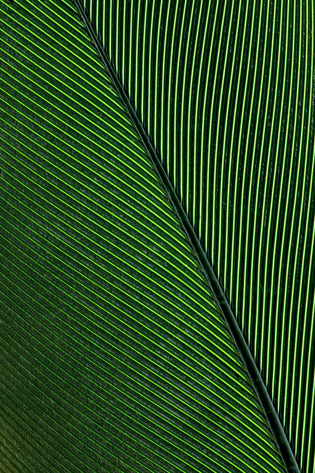 Coleção Palette - parceria com @ruyfotografo - 1 - 1