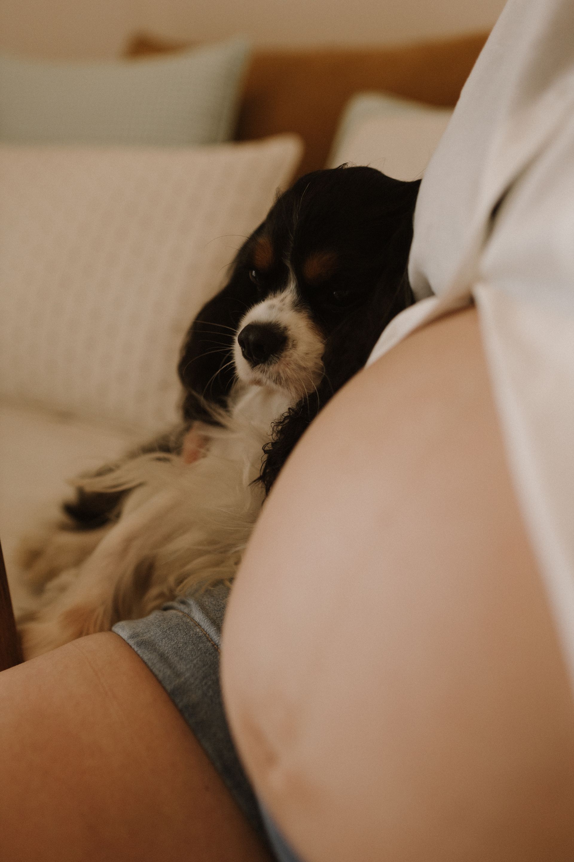 Julia e Fer à espera do Bento - 2 - 16