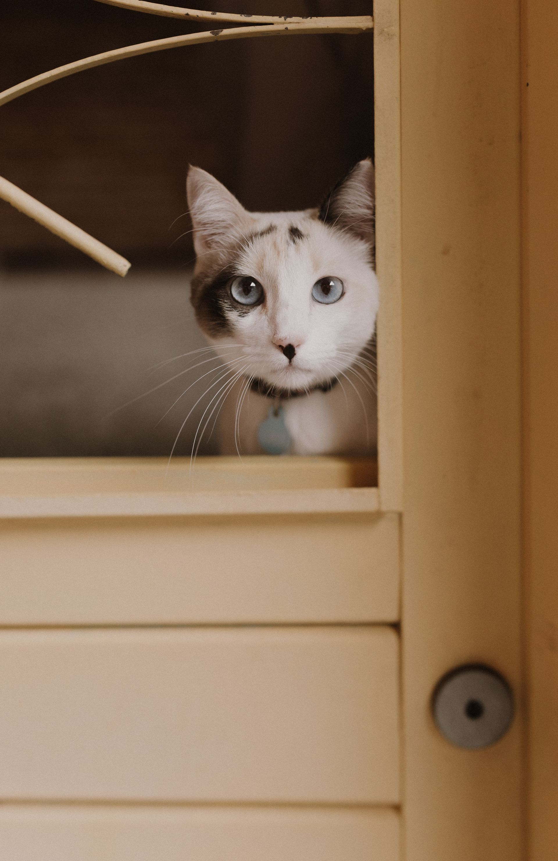 Luiza e Gustavo - 2 - 12