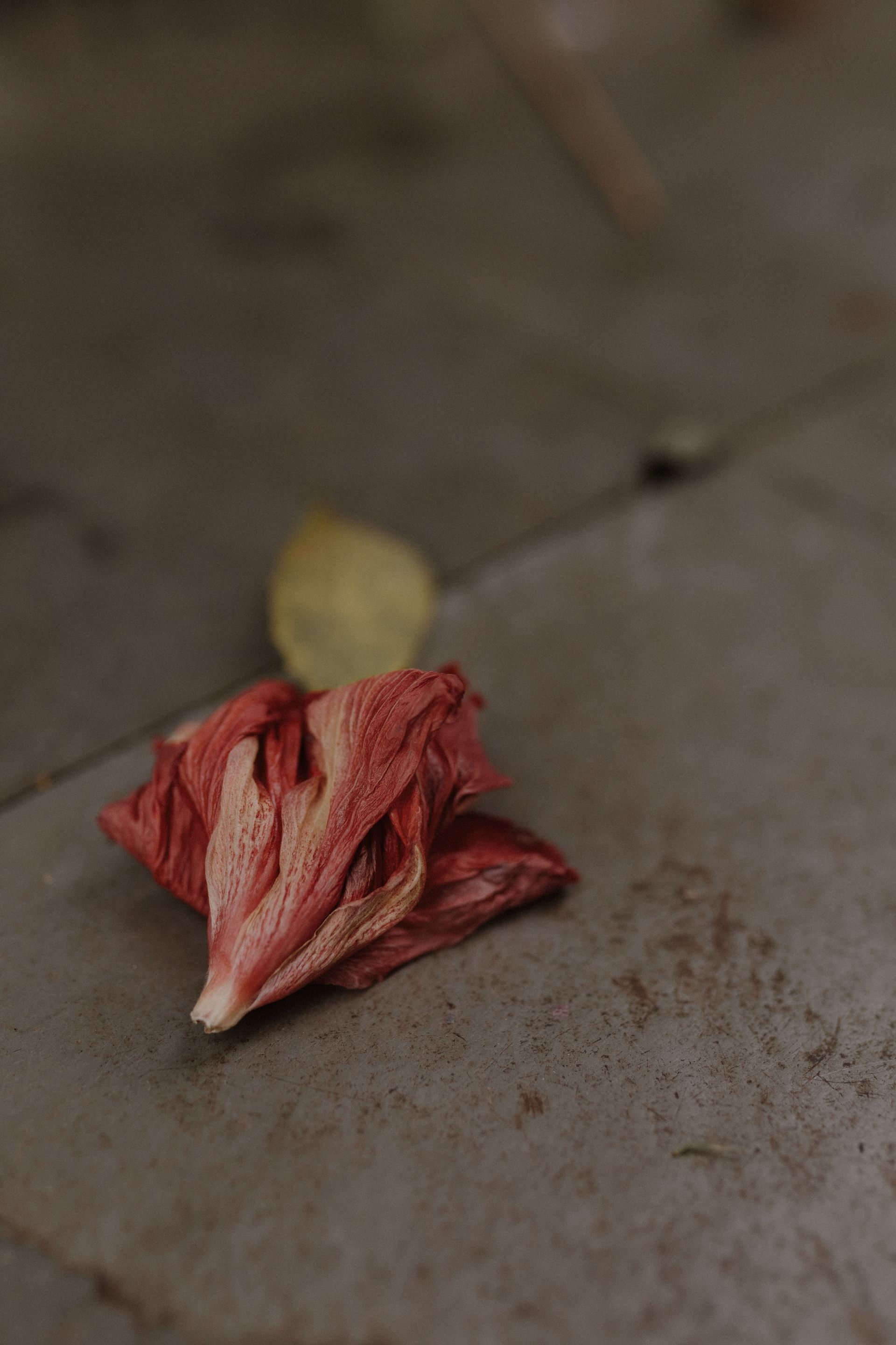 Luiza e Gustavo - 2 - 18