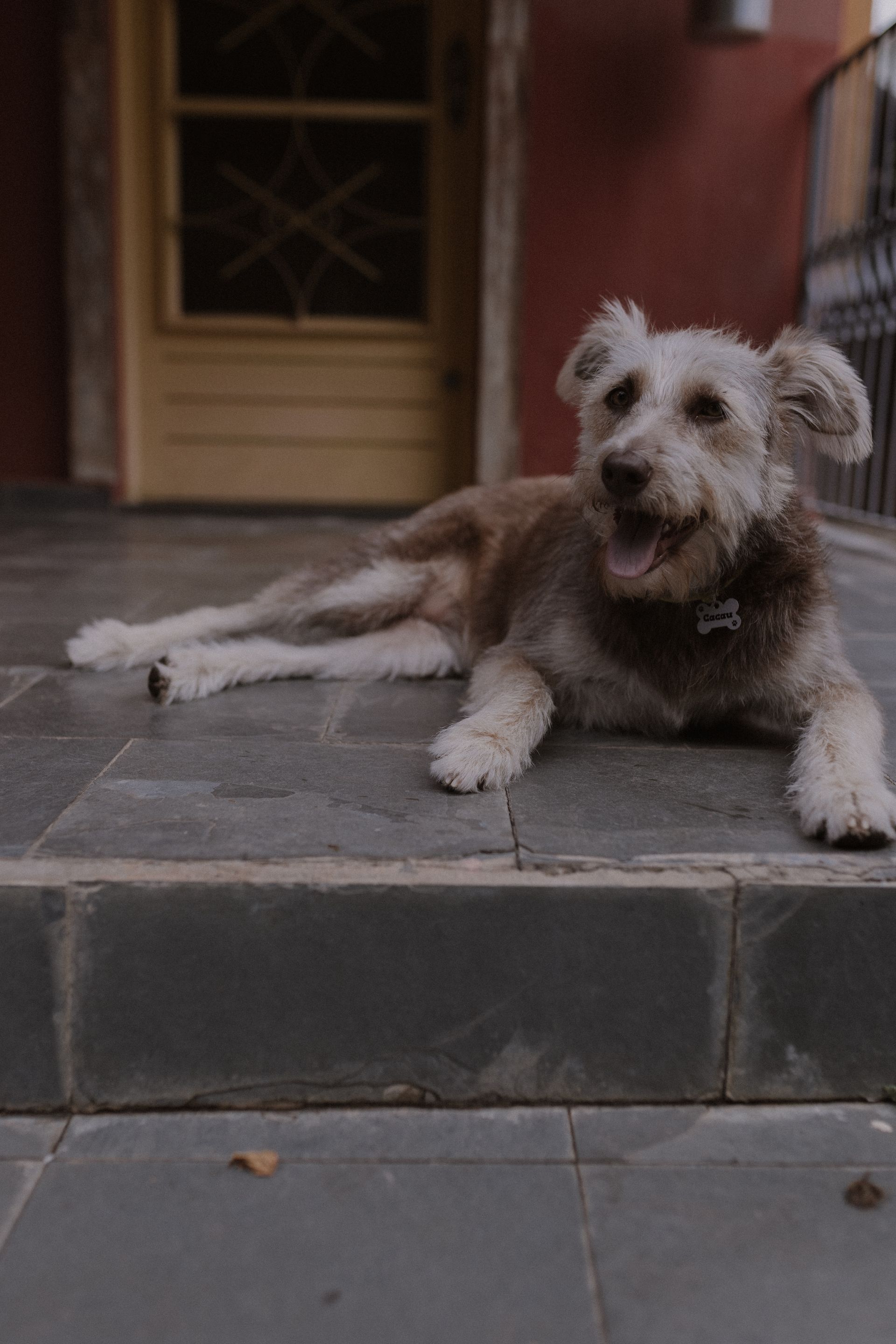 Luiza e Gustavo - 2 - 20