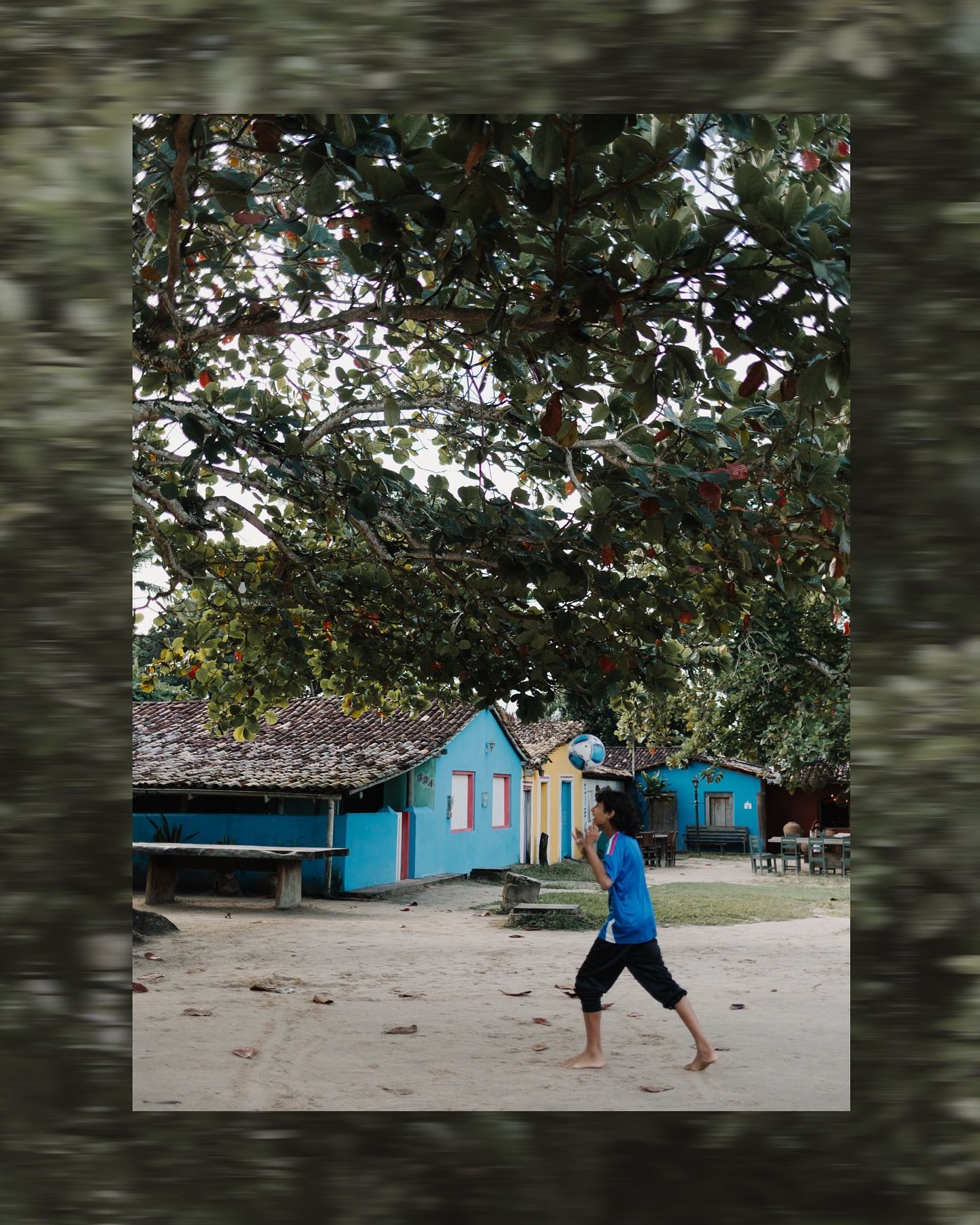 O meu olhar viaja o mundo e nele tudo cabe - 3 - 4