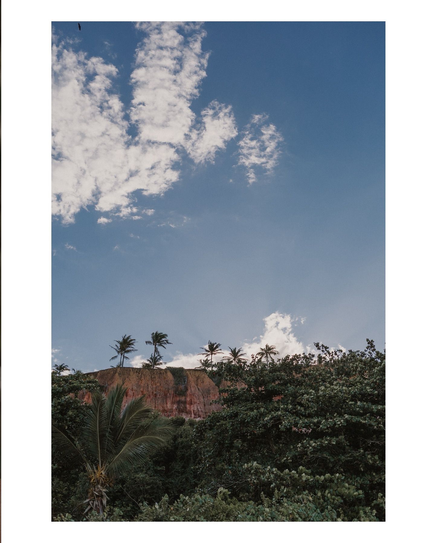 O meu olhar viaja o mundo e nele tudo cabe - 3 - 10