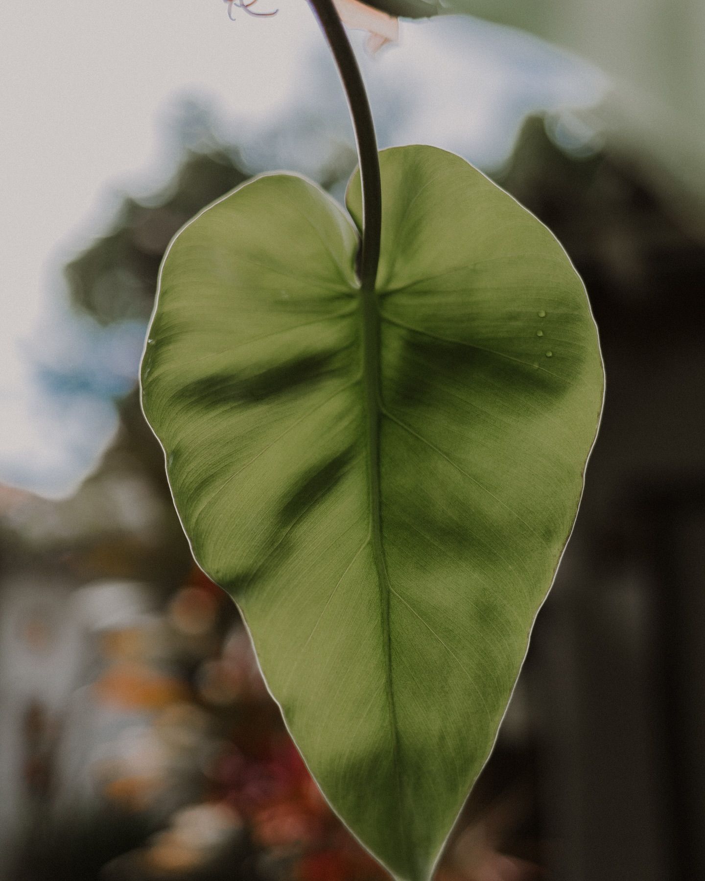 O meu olhar viaja o mundo e nele tudo cabe - 3 - 14