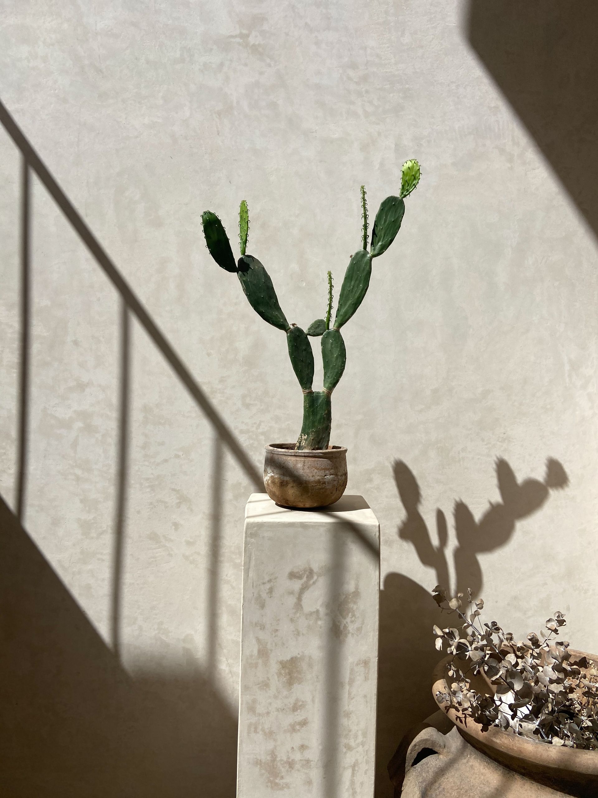 Tadelakt - Como fazer passo a passo - 8